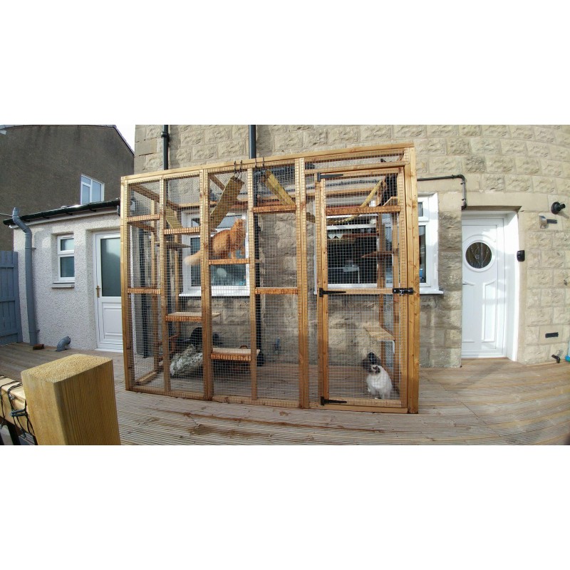 3 2024 sided catio